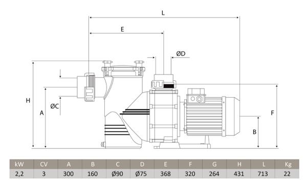 Große Discovery Filterpumpe 45m³/h, Förderhöhe=8m, 400V, 2,2 kW, 3 HP (Salzwasser Fähig)
